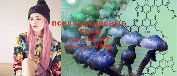 гашиш Абаза